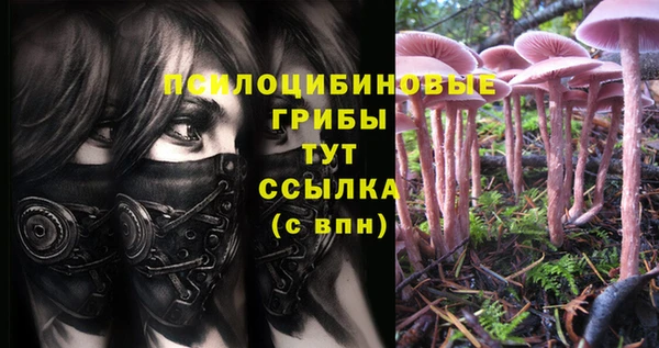 кокаин колумбия Лагань