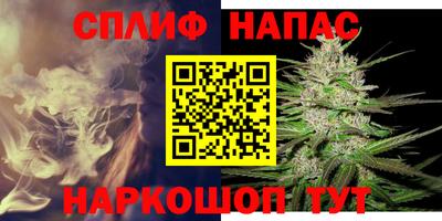 скорость Бийск