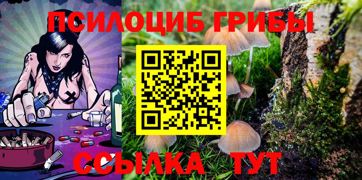 Галлюциногенные грибы Magic Shrooms  Долгопрудный 