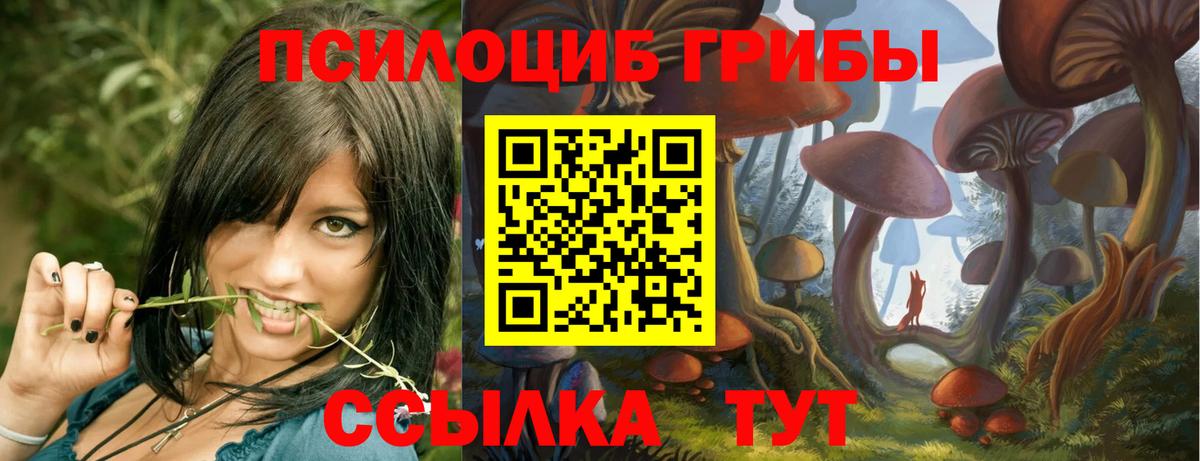 купить закладку  Псилоцибиновые грибы Psilocybine cubensis  Долгопрудный  Вход с VPN  Галлюциногенные грибы Magic Shrooms 