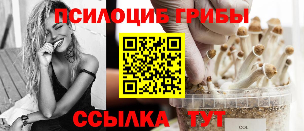 Псилоцибиновые грибы мицелий Долгопрудный